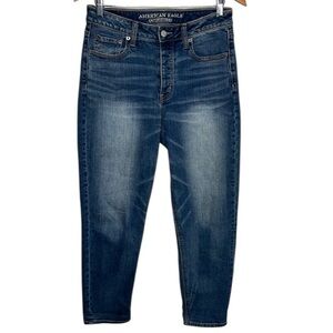 American Eagle Vintage Hi-Rise Button Fly Stretch Jeans Women Size 8